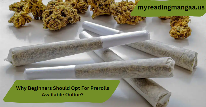 Why Beginners Should Opt For Prerolls Available Online?
